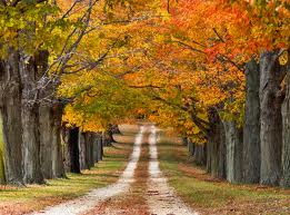 Autumn Yoga by Spirit Yoga - Sweetman's Lane in Millstone, NJ. Hdr by Joisey Showa Fotos